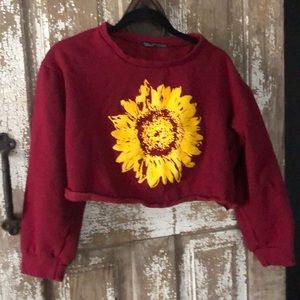 Super cute cropped sweatshirt